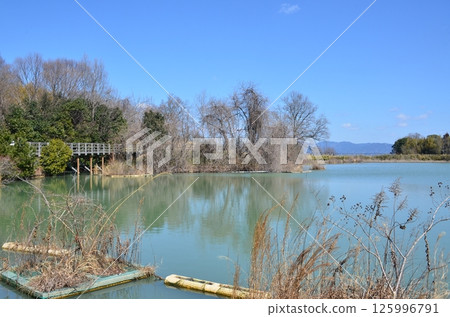 牧志山公園 125996791