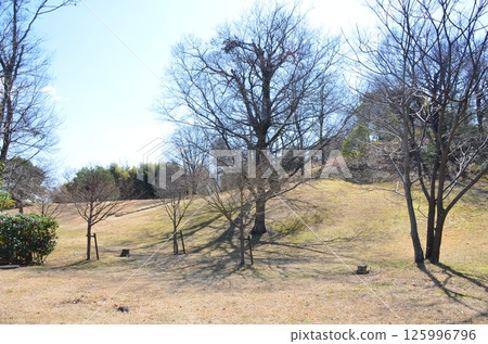 牧志山公園 125996796