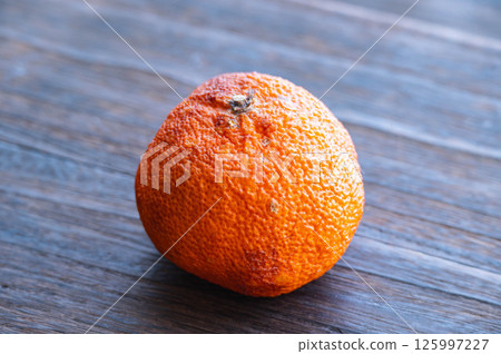 脫水伊予柑 125997227