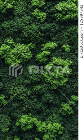 Lush Green Vertical Garden Wall: A Symphony of Nature 125997842
