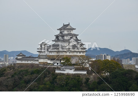 Himeji Castle seen from Otokoyama 125998690