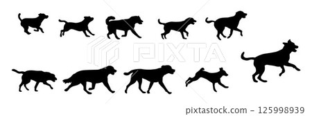 Running dog, different types of dogs running silhouette Running dog, different types of dogs running silhouette 125998939