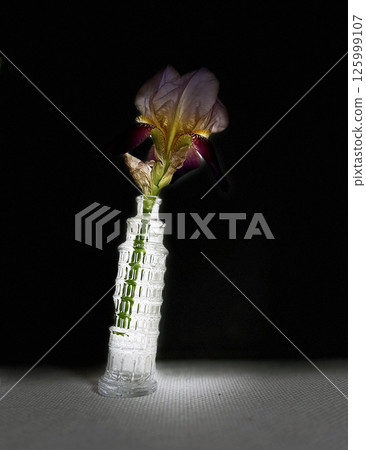 黑色背景上一朵迷人的花 125999107