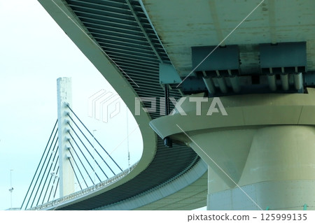 Metropolitan Expressway Katsushika Harp Bridge 125999135