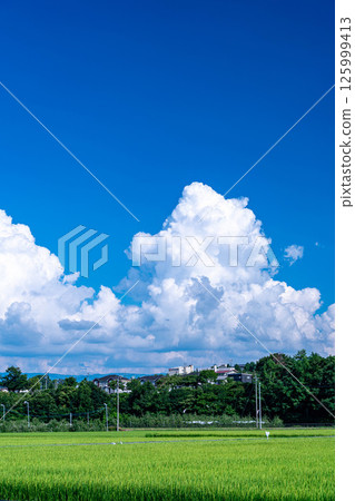 [夏季素材]夏季鄉村風光與積雨雲[長野縣] 125999413