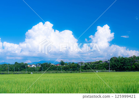 [夏季素材]夏季鄉村風光與積雨雲[長野縣] 125999421