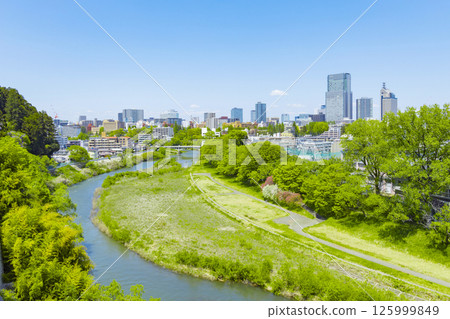 從青葉城遺址欣賞清新綠色的仙台市全景 從青葉城遺址欣賞清新綠色的仙台市全景 125999849