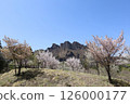Cherry tree of Myogi-yama 126000177