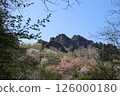 Cherry tree of Myogi-yama 126000180