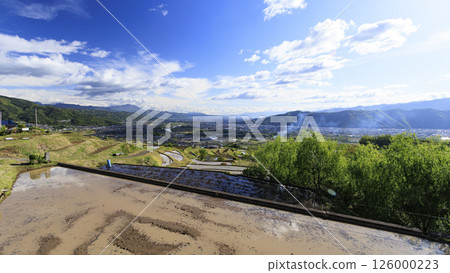 長野縣千曲市娘舍梯田的春天 126000223