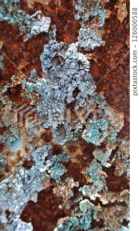 close up of a metallic surface of a mix of reddish-brown rust and bluish-green lichen or moss can be used for background 126000588