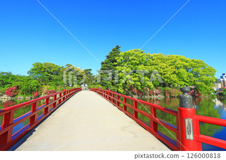 神奈川縣小田原市小田原城橋風景 神奈川縣小田原市小田原城橋風景 126000818