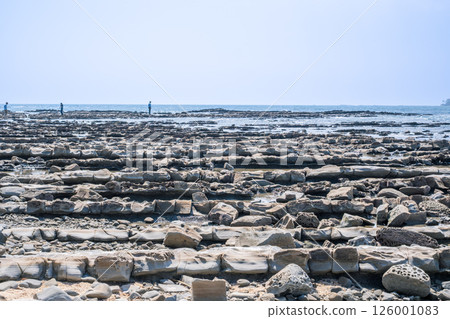 [#Miyazaki] Aoshima's Devil's Washboard 126001083