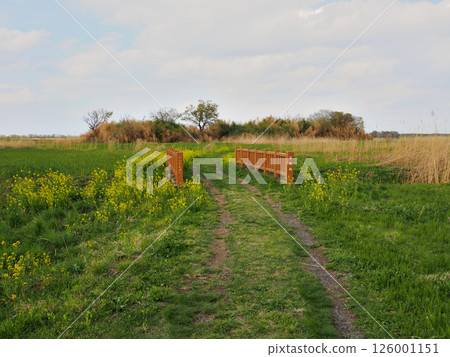 Tochigi Prefecture, Watarase Reservoir, Yanaka Village Site, Raiden Bridge 126001151