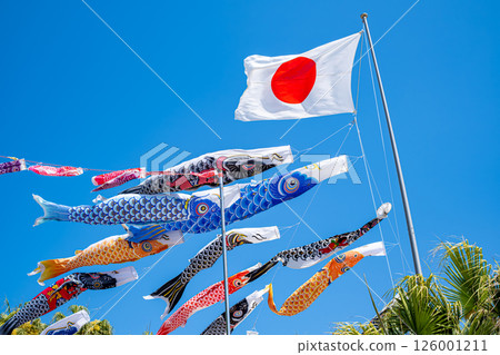 [#Japan] Japanese flag and carp streamers 126001211
