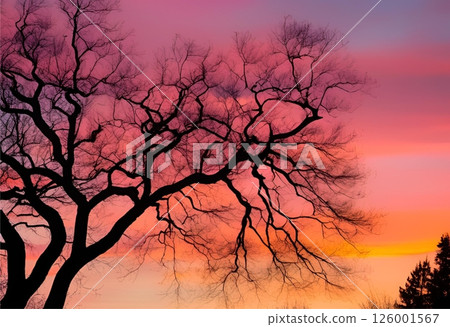 peaceful spring sunset with calm, serene nature.AI Generated 126001567
