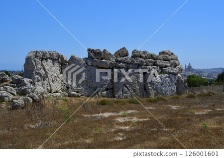 Republic of Malta, Gozo, Ggantija Temples, Megalithic Temples 126001601