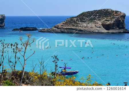 馬耳他，科米諾島，藍色潟湖，船 126001614