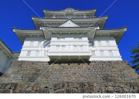 小田原城堡在蔚藍的天空中閃耀 126001670