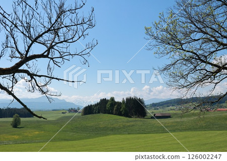 A beautiful, serene landscape with a large, open field A beautiful, serene landscape with a large, open field 126002247