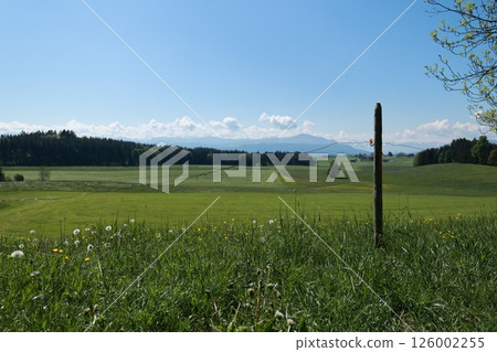 A field of grass with a post in the middle 126002255