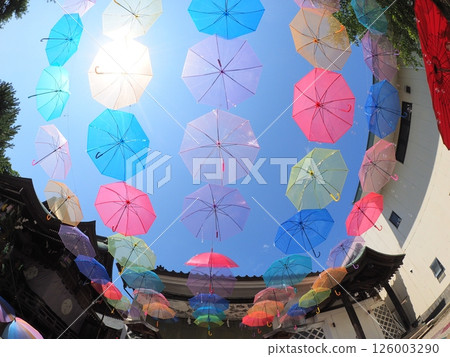 傘天為神社上方的天空增添色彩繽紛的遮陽傘和令人心動的風景，讓這裡成為日本夏季的絕佳旅遊景點 126003290