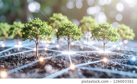 Close-up of young healthy green trees growing in dark soil connected by a digital network representing sustainable forestry and environmental technology innovation Close-up of young healthy green trees growing in dark soil connected by a digital network representing sustainable forestry and environmental technology innovation 126003381