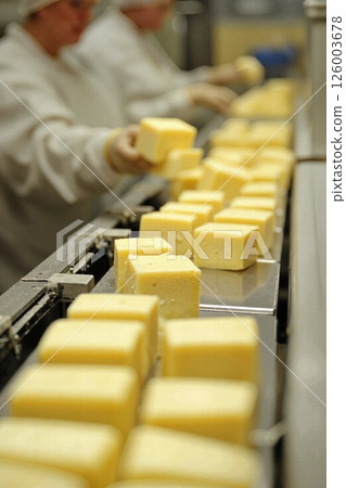 Industrial cheese production line: artisan cheese blocks in modern factory setting for culinary industry and gastronomy 126003678