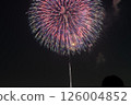 Huge weeping fireworks light up the night sky Huge weeping fireworks light up the night sky 126004852