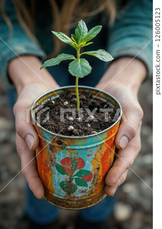 Sustainable gardening: hands holding recycled tin planter with seedling growth 126005123