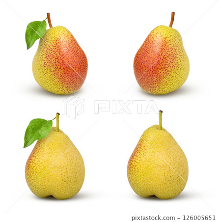 Red and yellow pears collection isolated on white background with leaf 126005651