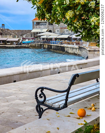 Bench Under Blooming Tree with a Scenic View of the Sea in Petrovac, Montenegro 126006237