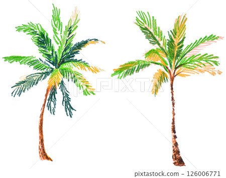 Hand-drawn colored pencils style tropical palm trees on white background Hand-drawn colored pencils style tropical palm trees on white background 126006771