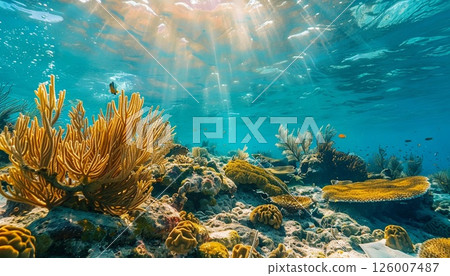 Stunning view of the captivating underwater world 126007487