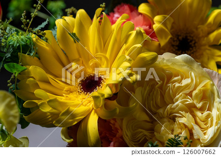 A bouquet bathed in light A bouquet bathed in light 126007662