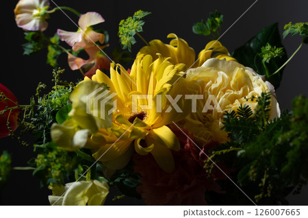 Dramatic bouquet on a black background Dramatic bouquet on a black background 126007665