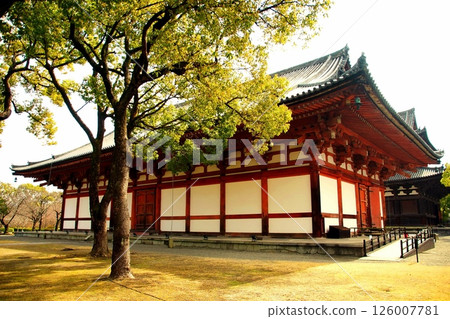 Kyoto Prefecture, Toji Temple Lecture Hall (Important Cultural Property), Kujo-cho, Minami-ku, Kyoto City, February 2022 126007781