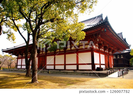 京都府,東寺講堂(重要文化財產),京都市南區九條町,2022 年 2 月 京都府,東寺講堂(重要文化財產),京都市南區九條町,2022 年 2 月 126007782
