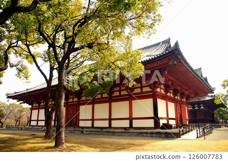 Kyoto Prefecture, Toji Temple Lecture Hall (Important Cultural Property), Kujo-cho, Minami-ku, Kyoto City, February 2022 Kyoto Prefecture, Toji Temple Lecture Hall (Important Cultural Property), Kujo-cho, Minami-ku, Kyoto City, February 2022 126007783