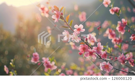 Scenic views of picturesque landscapes adorned with flowering trees Scenic views of picturesque landscapes adorned with flowering trees 126008120