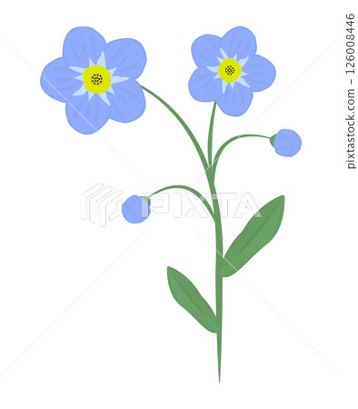 Forget-me-not, flowers and leaves, colorful illustration Forget-me-not, flowers and leaves, colorful illustration 126008446