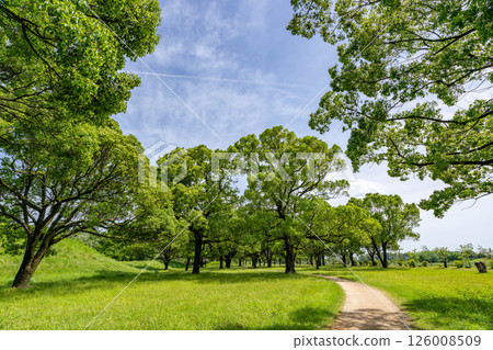 A park wrapped in fresh green 126008509
