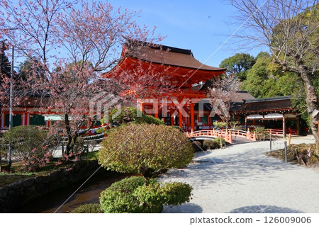 Kamigamo Shrine (Kamo Taisha), a World Heritage Site in Kyoto 126009006