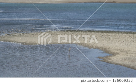 浪潮在沙灘上擊敗 126009333