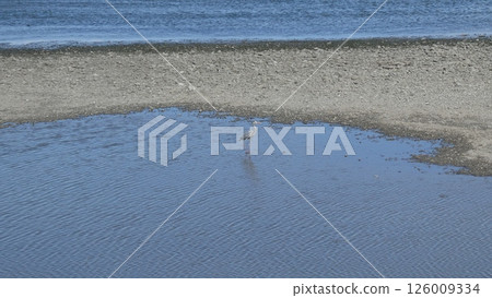 The confluence of the blue sea and the river 126009334