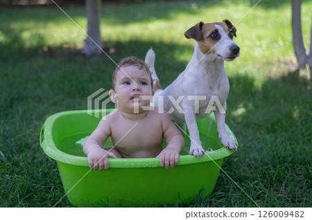 Cute boy bathes in a basin with a Jack Russell terrier dog outdoors in the summer. 126009482