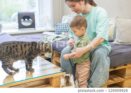 Caucasian woman with her son in a cat cafe. Caucasian woman with her son in a cat cafe. 126009926