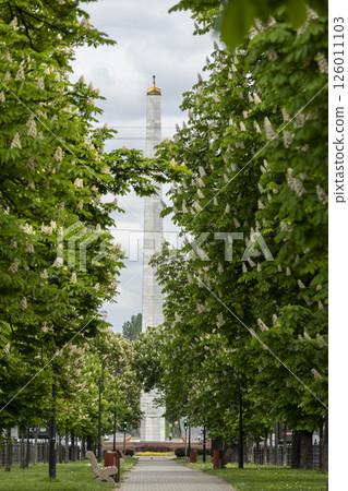 Empty city alley with blossoming chestnut trees Empty city alley with blossoming chestnut trees 126011103