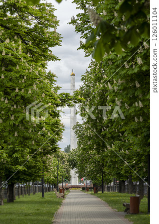 Empty city alley with blossoming chestnut trees 126011104