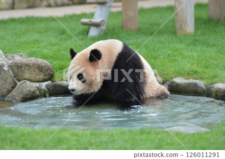 Umehama Beach where people play in the water 126011291